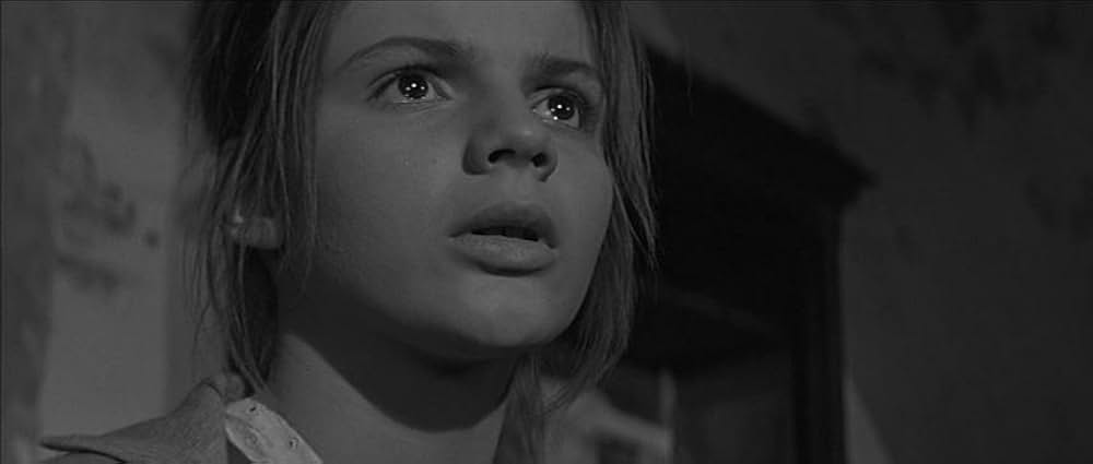 かもめの城の画像