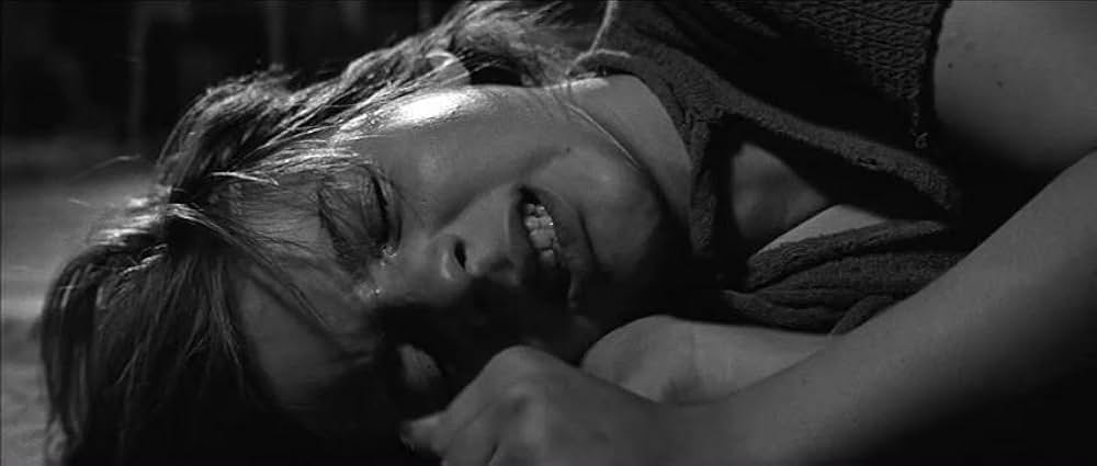 かもめの城の画像