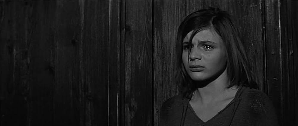 かもめの城の画像