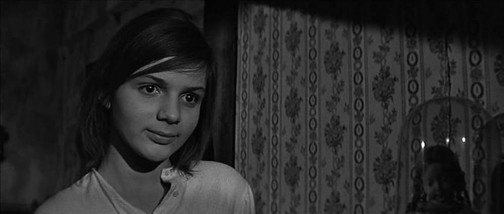 かもめの城の画像