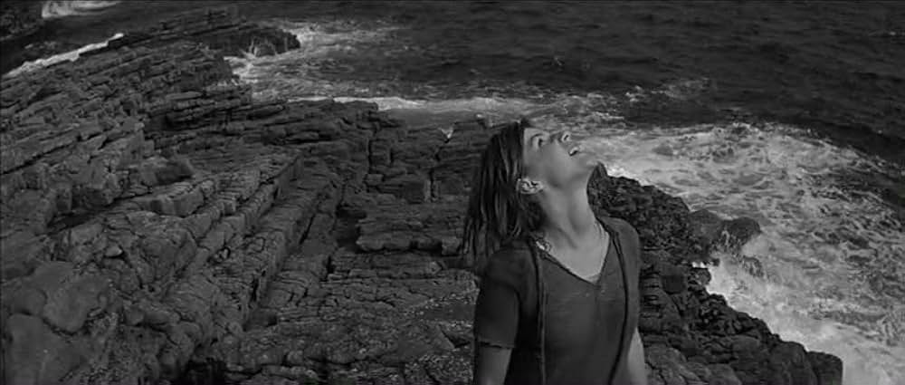 かもめの城の画像