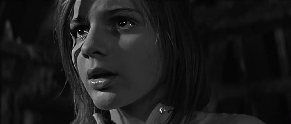 かもめの城の画像