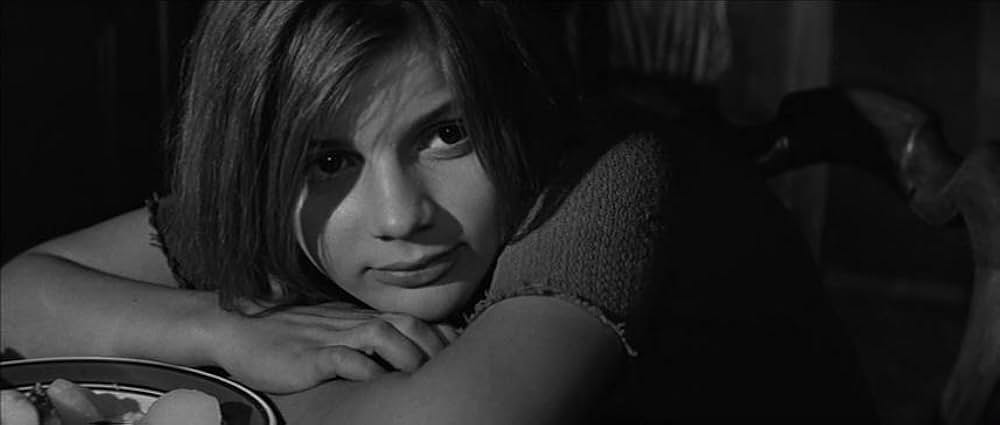 かもめの城の画像