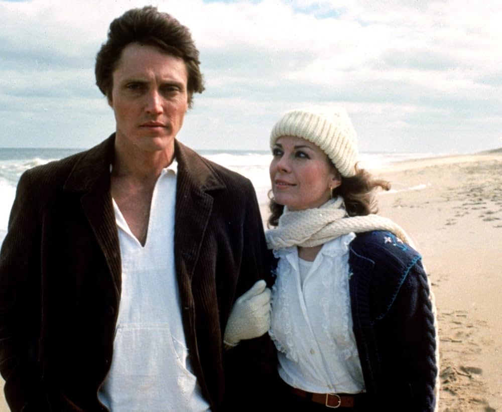 ブレインストームの画像