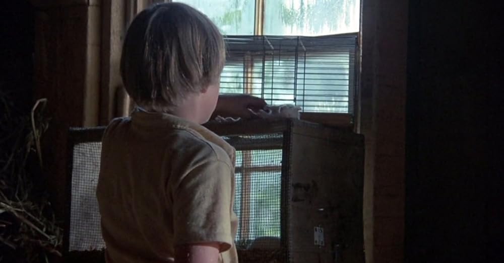 悪を呼ぶ少年の画像