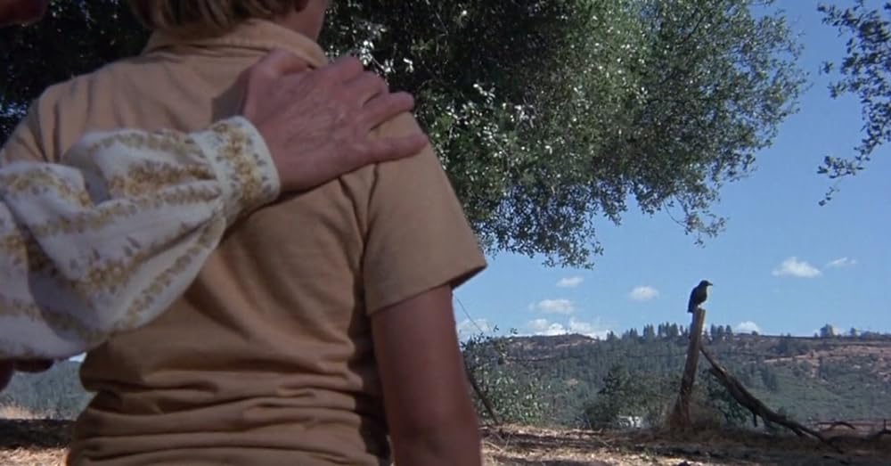 悪を呼ぶ少年の画像