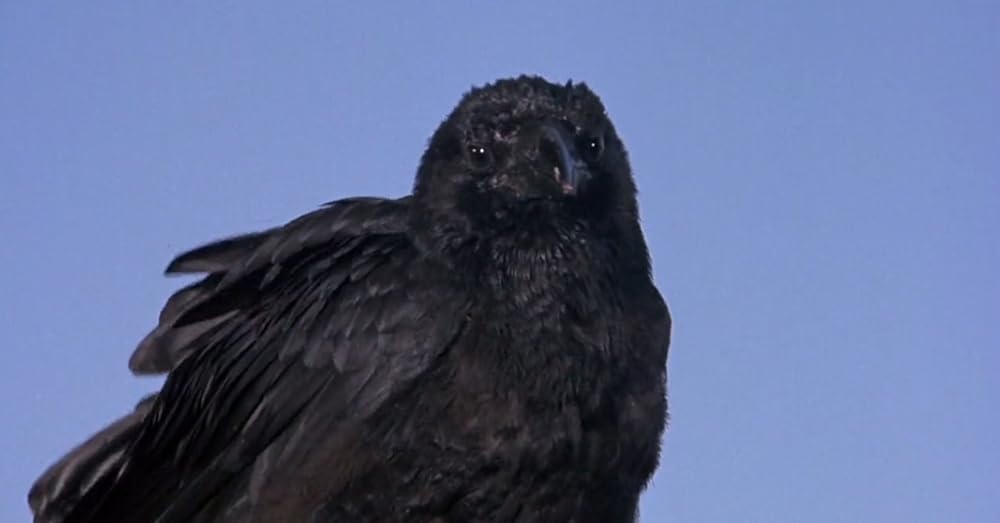 悪を呼ぶ少年の画像