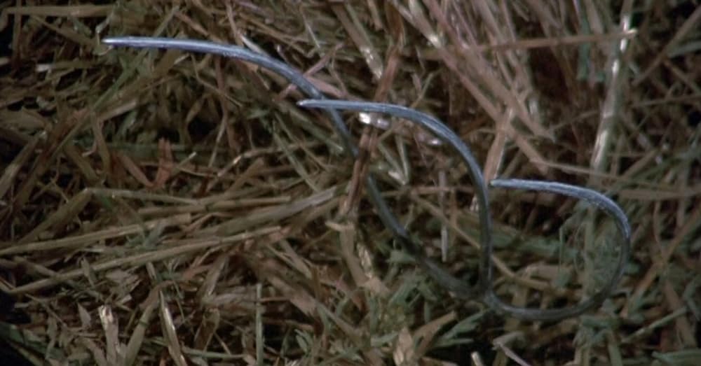 悪を呼ぶ少年の画像