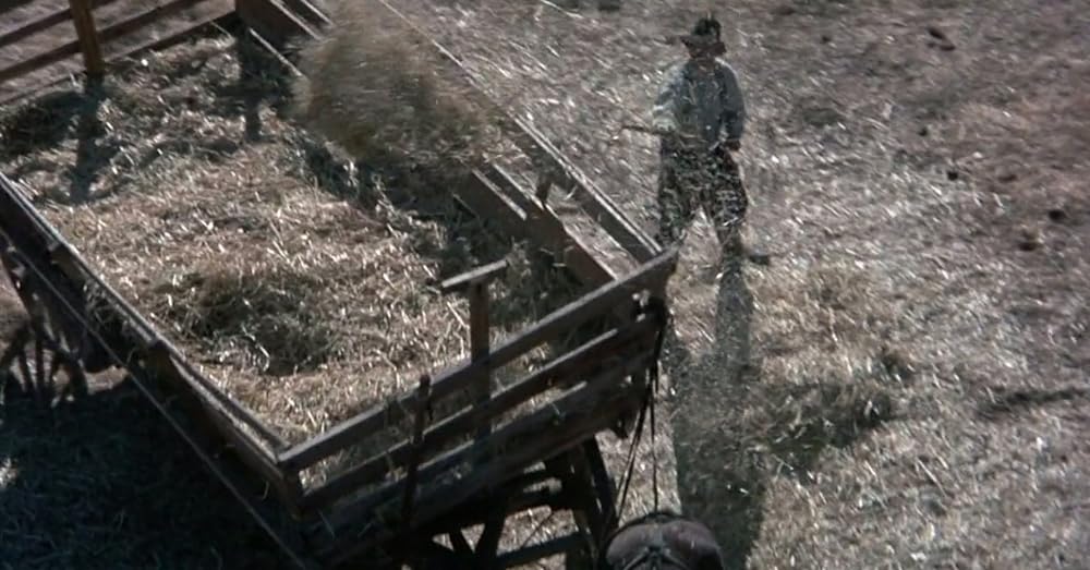 悪を呼ぶ少年の画像