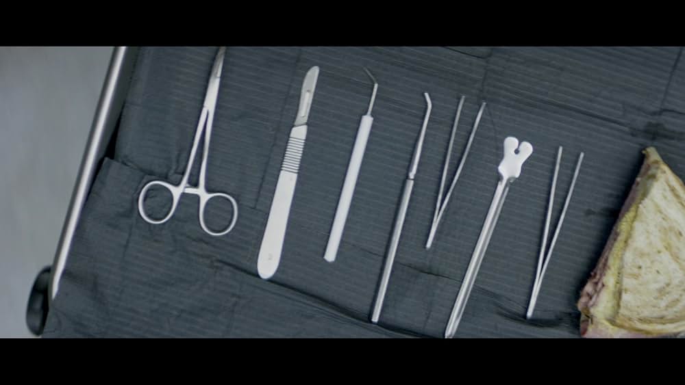 Suitable Flesh（原題）の画像