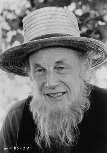 「刑事ジョン・ブック／目撃者」Jan Rubešの画像