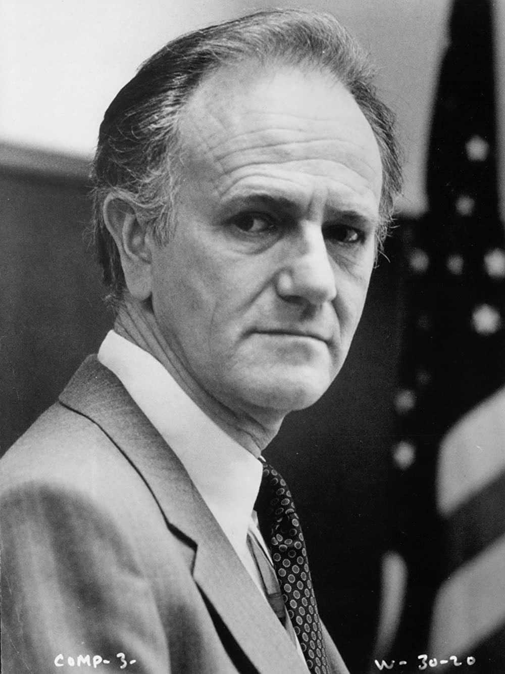 「刑事ジョン・ブック／目撃者」ジョセフ・ソマーの画像