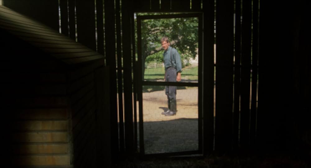 刑事ジョン・ブック／目撃者の画像