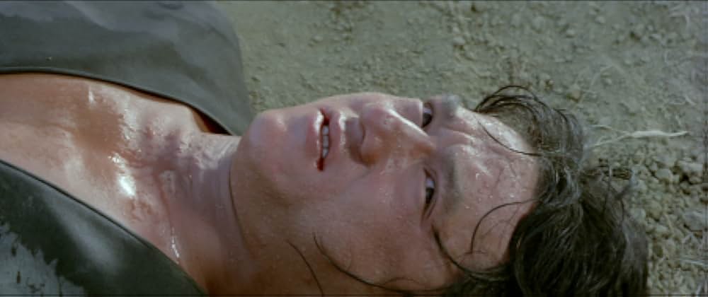 ヤング・マスター／師弟出馬の画像