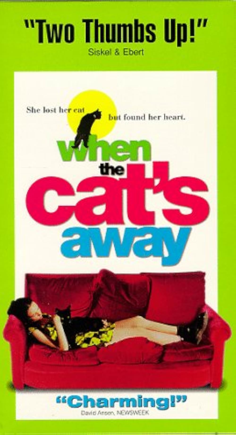 猫が行方不明の画像