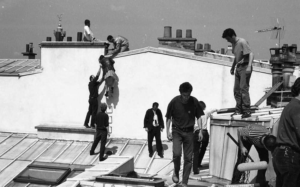 猫が行方不明の画像