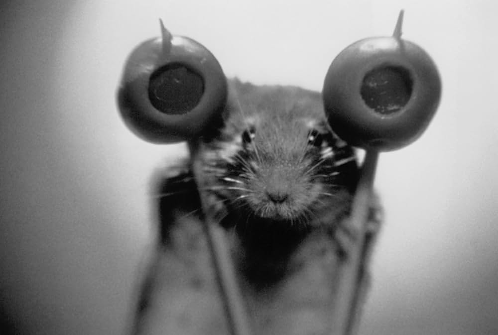 マウス・ハントの画像