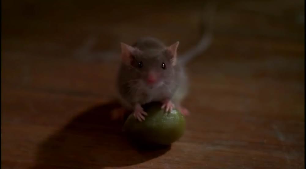 マウス・ハントの画像