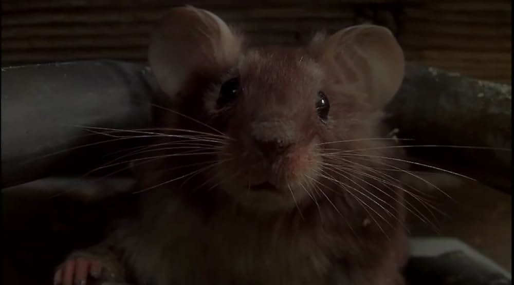 マウス・ハントの画像