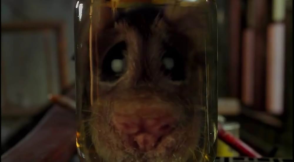 マウス・ハントの画像