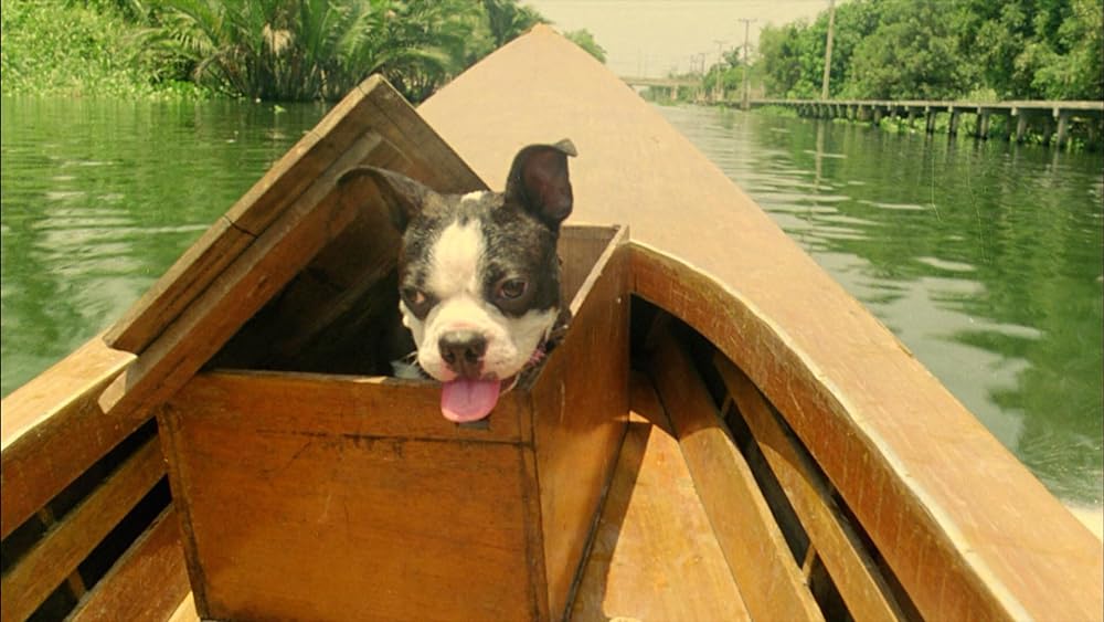 フル・コンタクトの画像