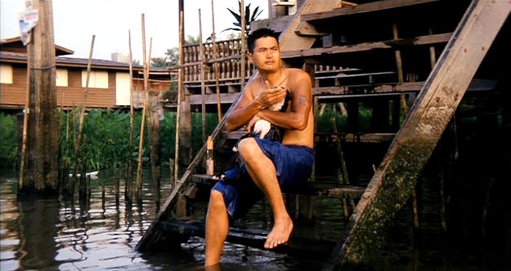 フル・コンタクトの画像