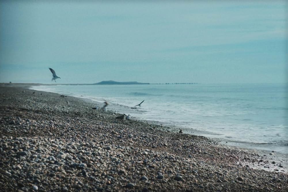 開拓者たちの画像