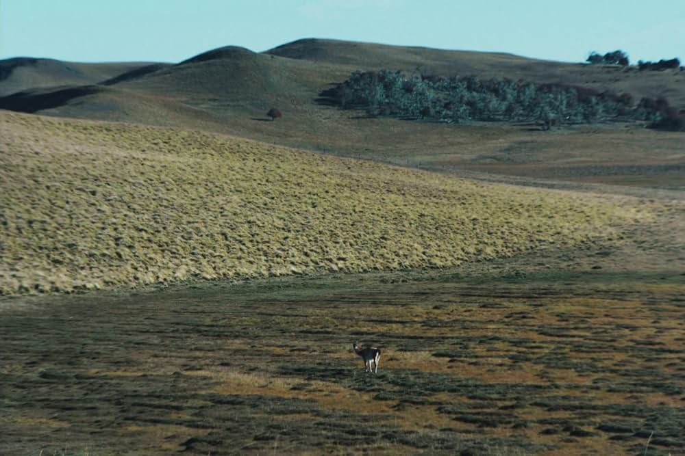 開拓者たちの画像