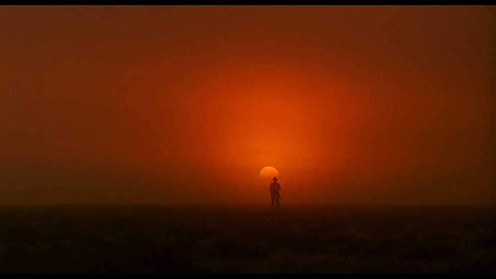 愛と哀しみの果ての画像