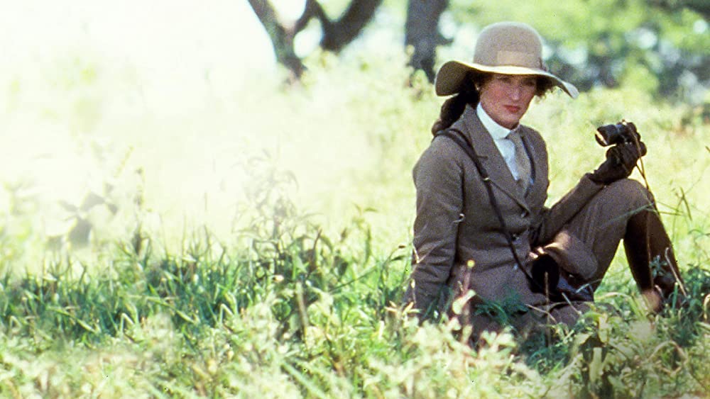 愛と哀しみの果ての画像