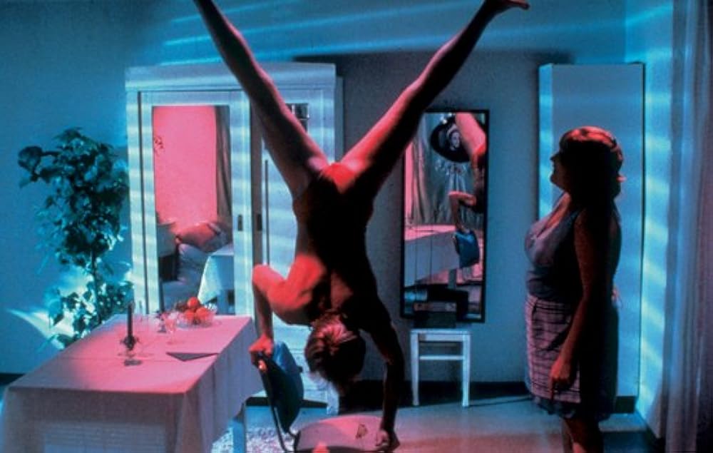 シュガーベイビーの画像