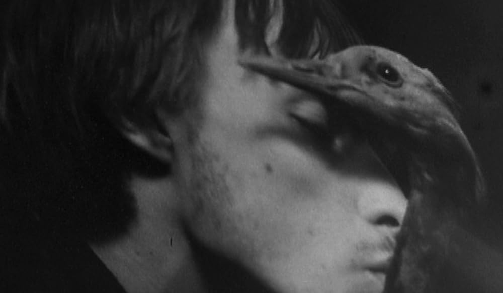 静かなる一頁の画像