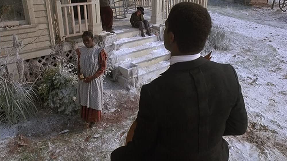 カラーパープルの画像