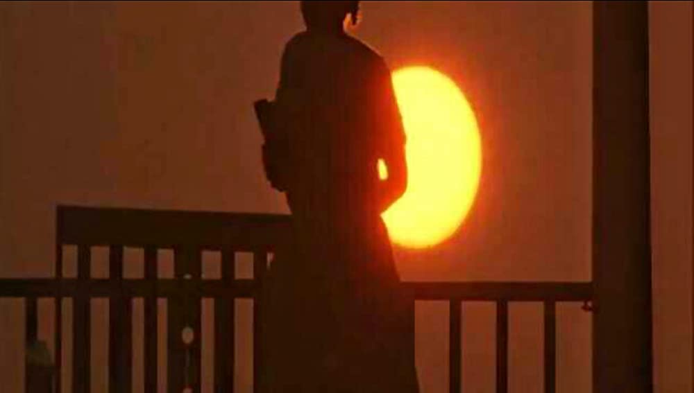 カラーパープルの画像