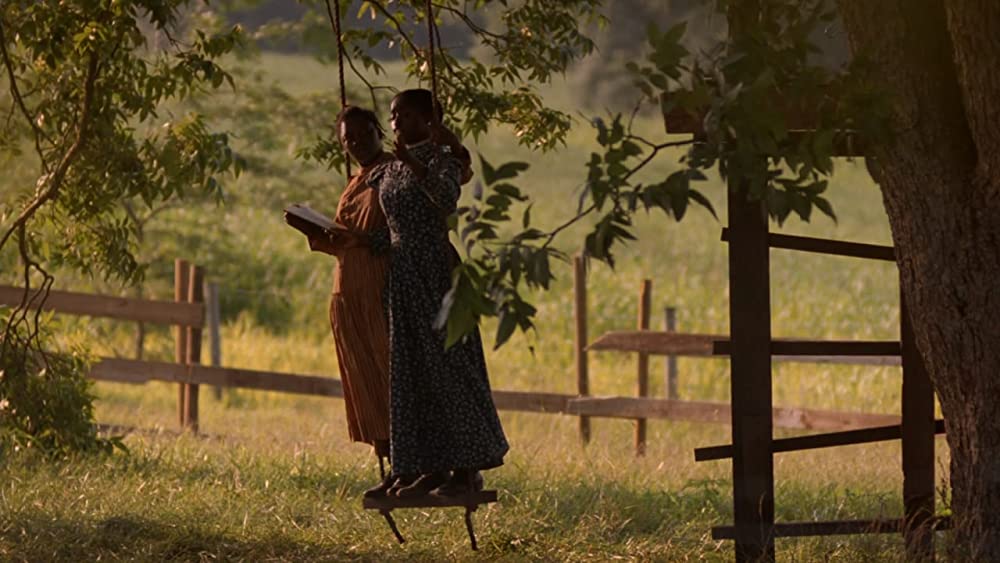 カラーパープルの画像