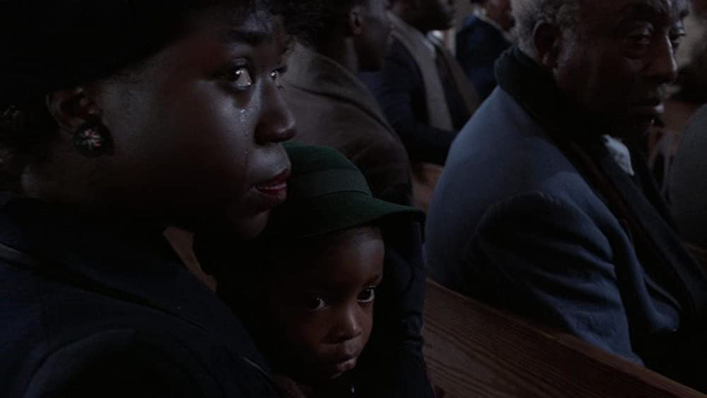 カラーパープルの画像