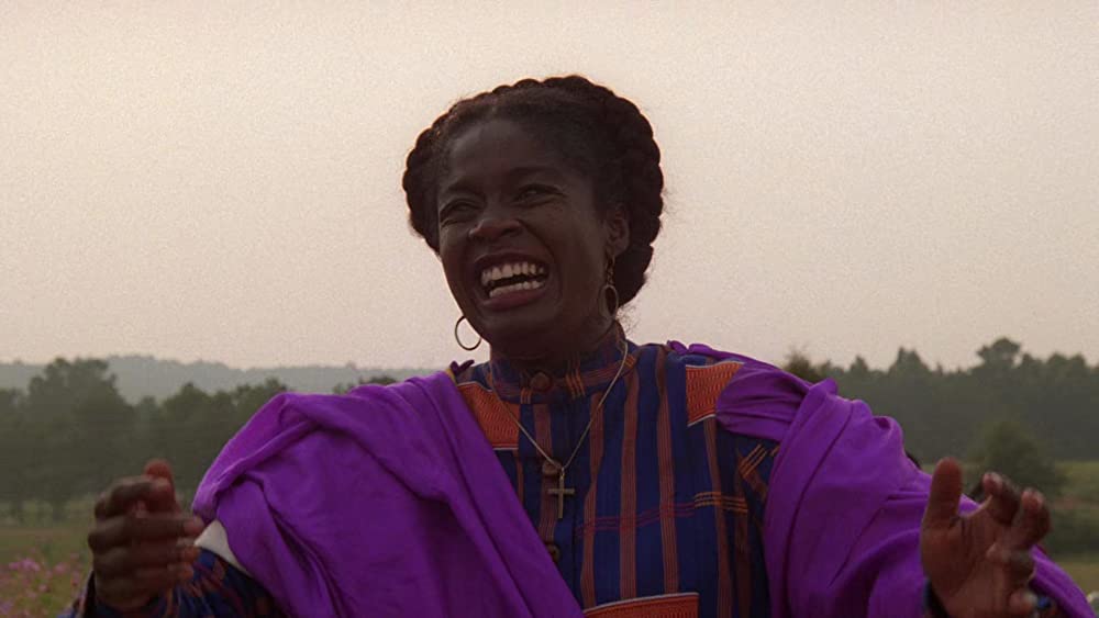 カラーパープルの画像