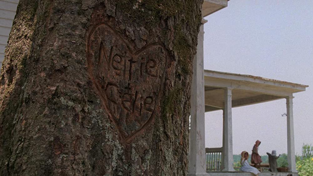 カラーパープルの画像