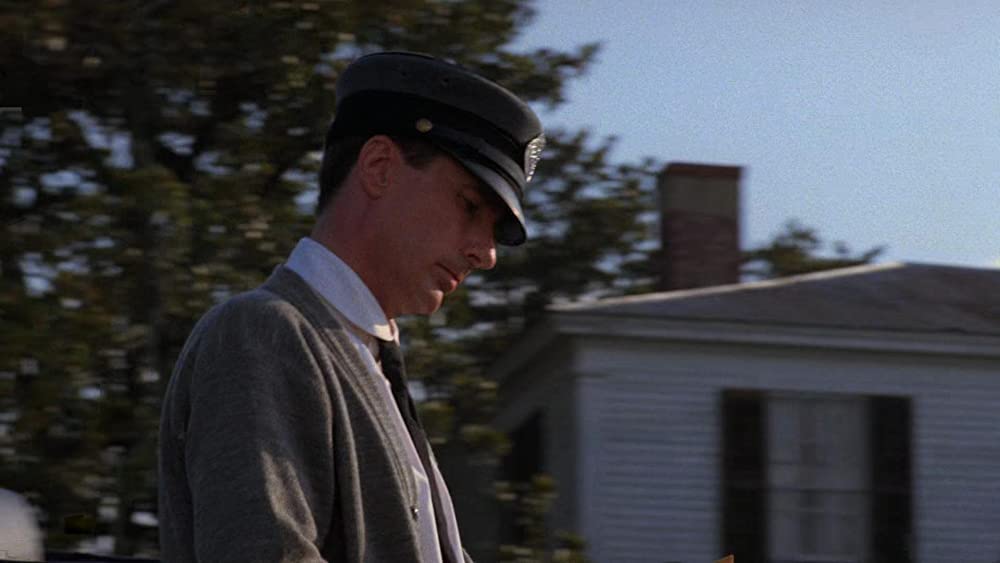 カラーパープルの画像