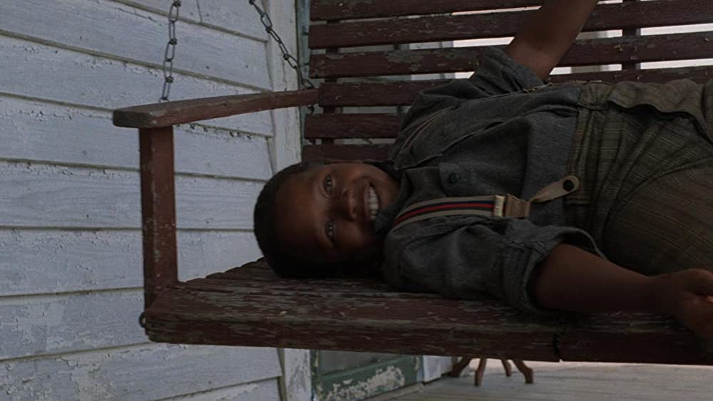 カラーパープルの画像