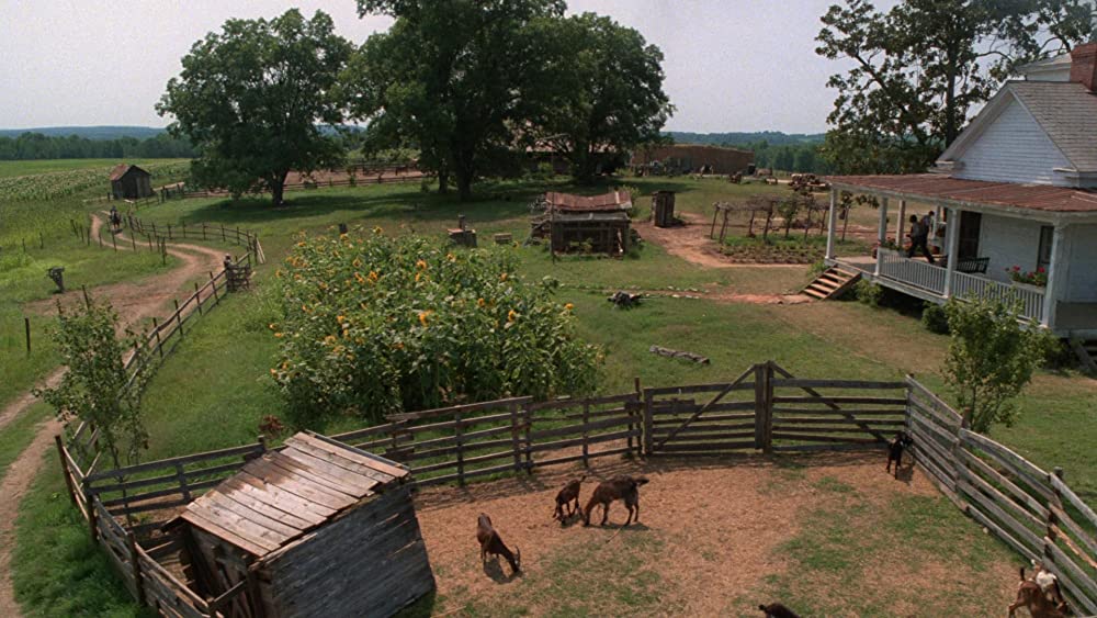 カラーパープルの画像