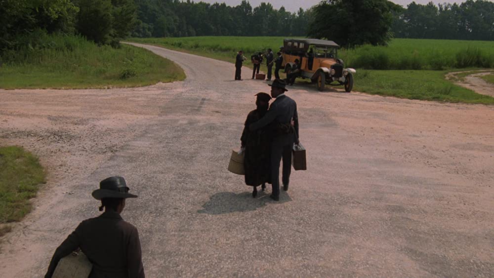 カラーパープルの画像