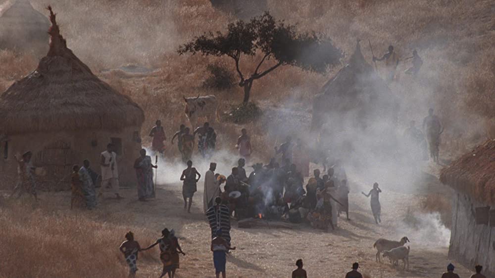 カラーパープルの画像