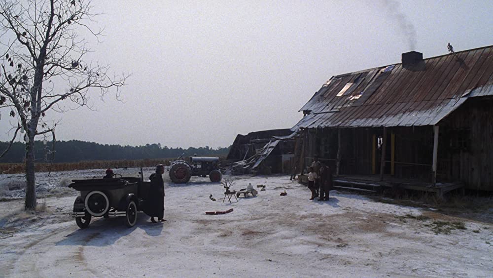 カラーパープルの画像