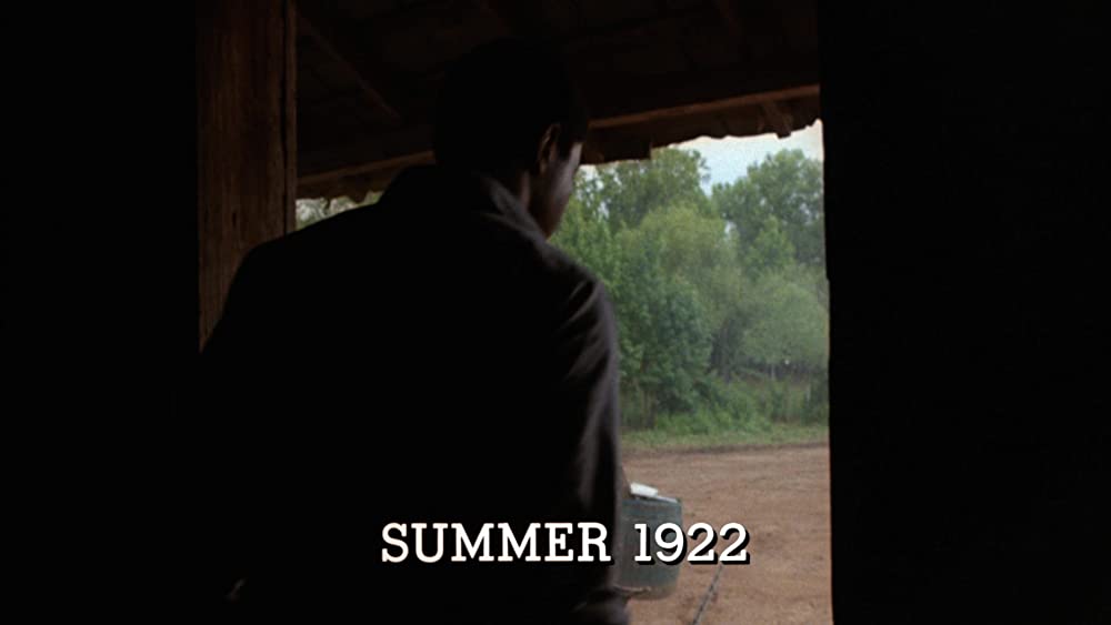 カラーパープルの画像