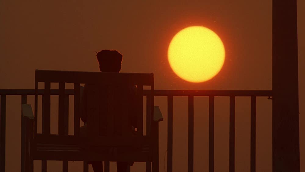 カラーパープルの画像