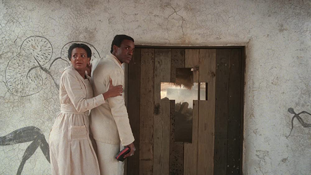 カラーパープルの画像