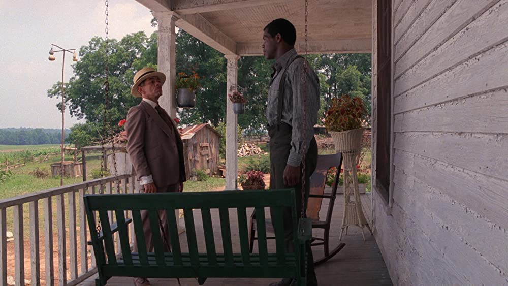 カラーパープルの画像