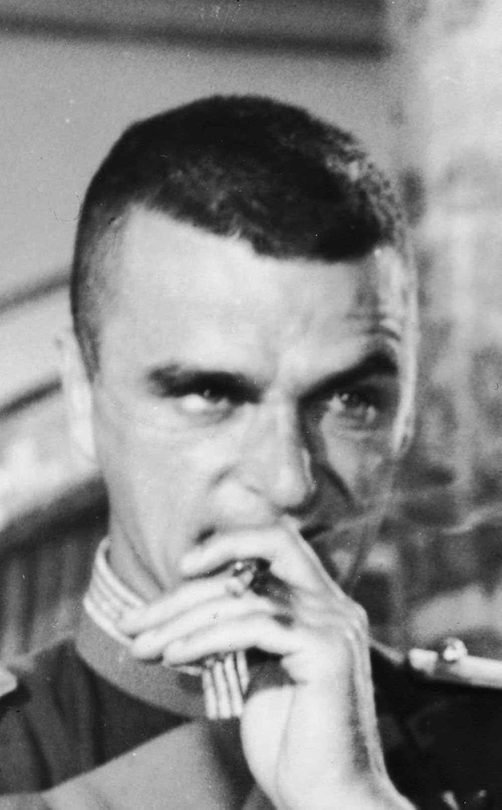 ヴェラクルスの画像