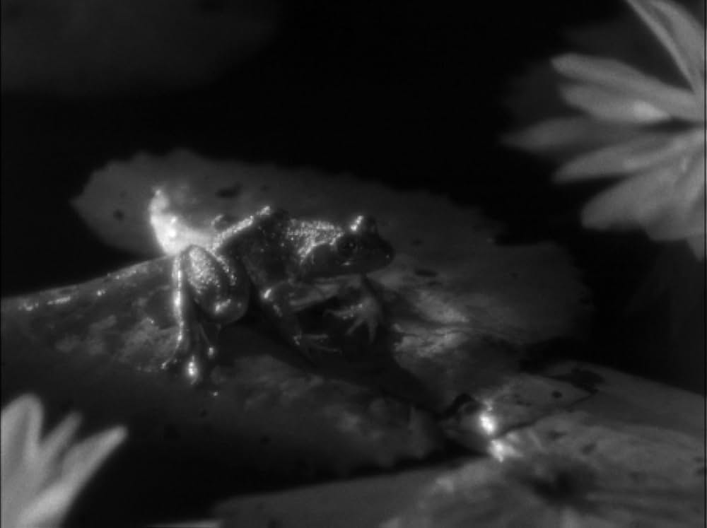 暗黒街の弾痕の画像